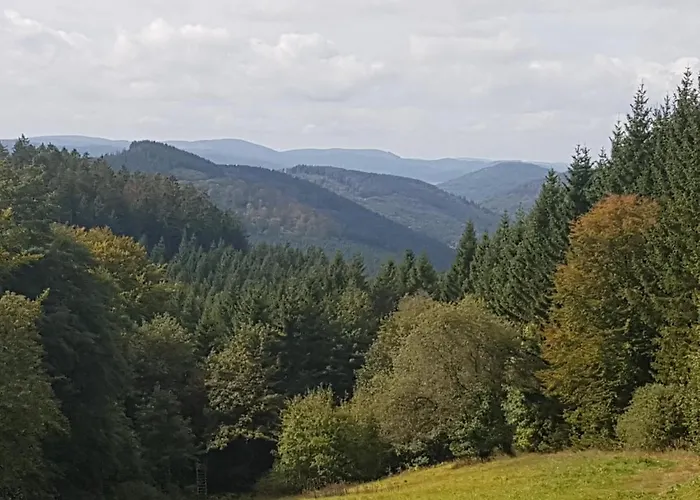 Ruime, Gezellige Vakantiewoning Nabij Winterberg Voor 2 Tot 6 Rustige Natuurliefhebbers