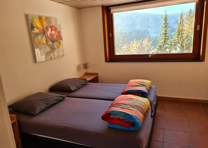 Ruime, Gezellige Vakantiewoning Nabij Winterberg Voor 2 Tot 6 Rustige Natuurliefhebbers